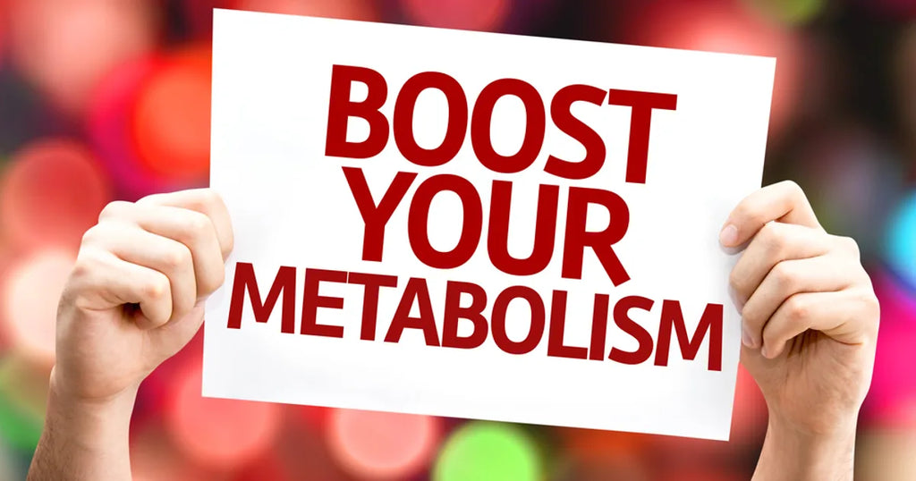 The Blood Sugar Balancer: Berberine’s Role in Metabolic Health