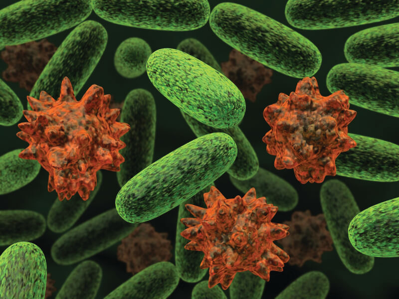 Digestive Enzymes vs. Probiotics: What’s the Difference and Do You Need Both?