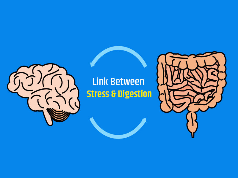 How stress affects digestion