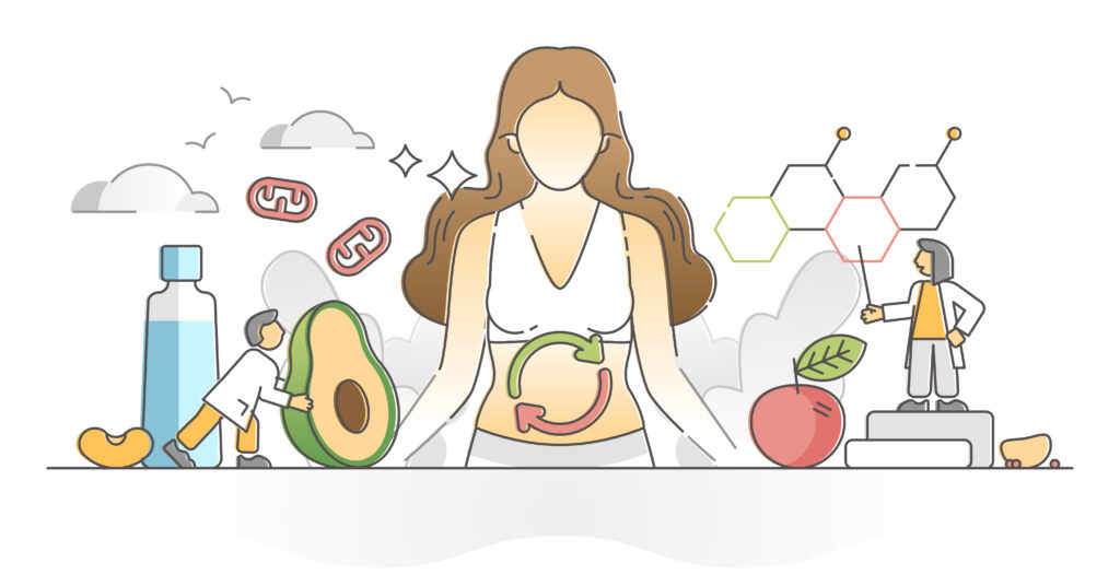 Fat Digestion and Metabolism: Why It’s the Missing Link to Weight Loss and Energy